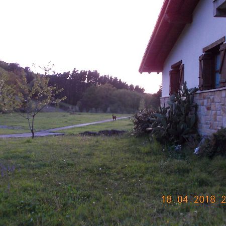 Casa Rural Miamendi Larrabetzu المظهر الخارجي الصورة