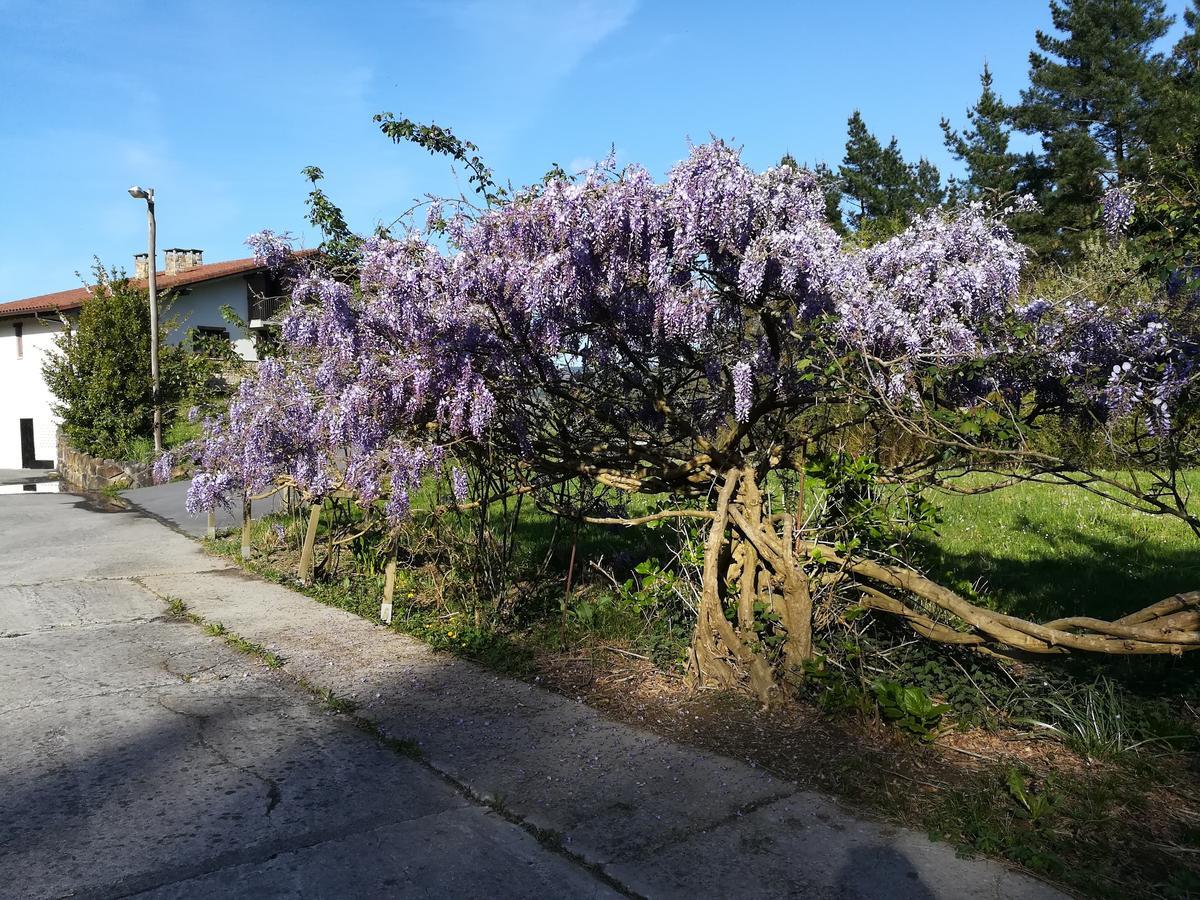 Casa Rural Miamendi Larrabetzu المظهر الخارجي الصورة